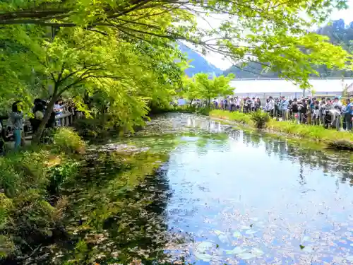 根道神社の景色