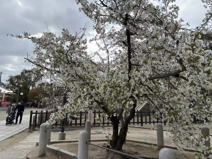 四天王寺(大阪府)