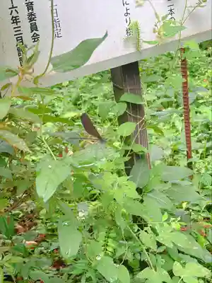 白鳥神社(宮城県)