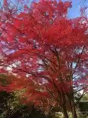 浄住寺の自然