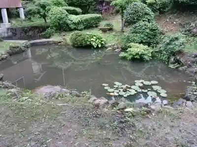 白狐山光星寺(山形県)