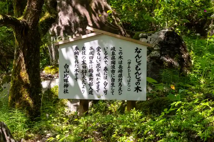 白山比咩神社(石川県)