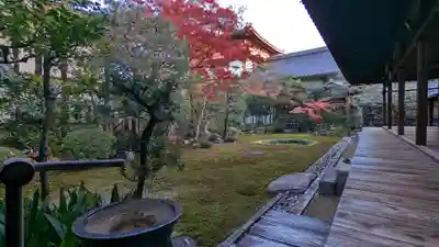 本法寺(京都府)