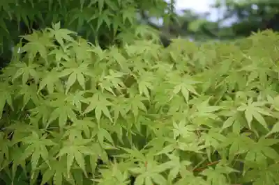  智積院(京都府)