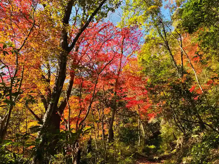 箸蔵寺(徳島県)