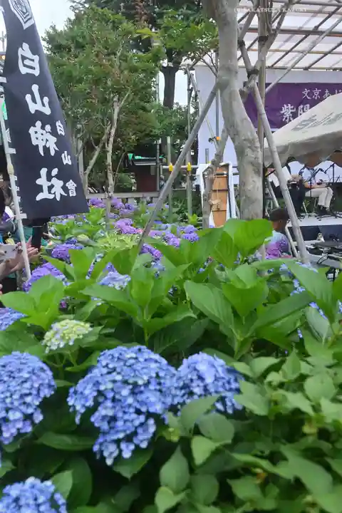 白山神社(東京都)