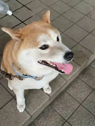 笠䅣稲荷神社(神奈川県)