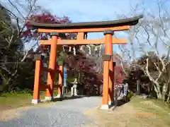 丹生官省符神社の鳥居