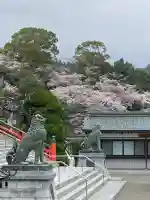 妙法寺(佐賀県)