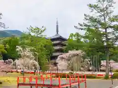 醍醐寺の建物その他