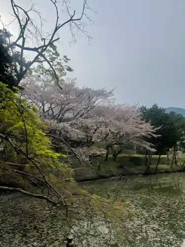 高鴨神社(奈良県)