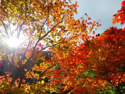 大雪山層雲峡神社(北海道)