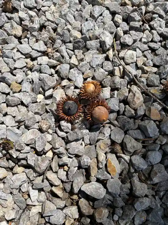 上常呂神社(北海道)