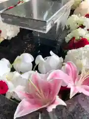 新琴似神社の手水