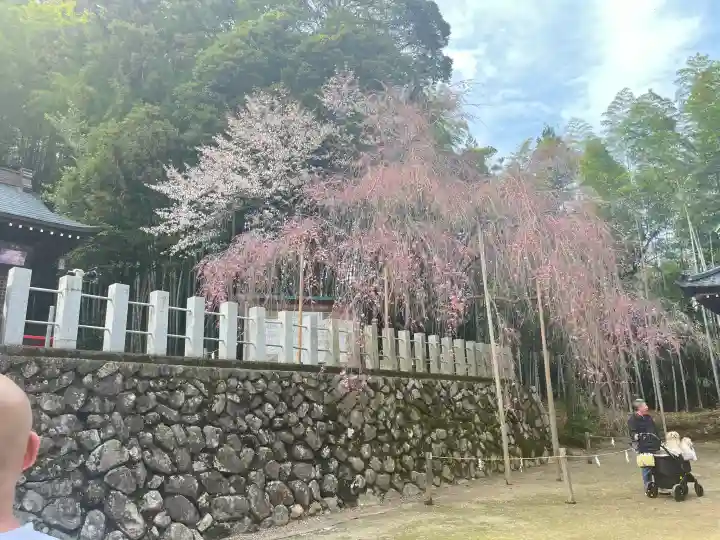 小川諏訪神社の{uncategorized: "未分類", other: "その他", undefined: "問題あり", building: "その他建物", grave: "お墓", sacred_gate: "鳥居", guardian: "狛犬", statue: "像", buddha: "仏像", history: "歴史", nature: "自然", garden: "庭園", animal: "動物", pagoda: "塔", temizu: "手水舎", mountain_gate: "山門・神門", sanctuary: "本殿・本堂", subordinate: "末社・摂社", art: "芸術", scenery: "景色", jizo: "地蔵", ema: "絵馬", goshuin: "御朱印", omikuji: "おみくじ", items: "授与品その他", amulet: "お守り", goshuincho: "御朱印帳", eats: "食事", festival: "お祭り", votive_dance: "神楽", shichigosan: "七五三参", wedding: "結婚式", experience: "体験その他", initially: "初詣", around: "周辺", anti_infection: "感染症対策"}