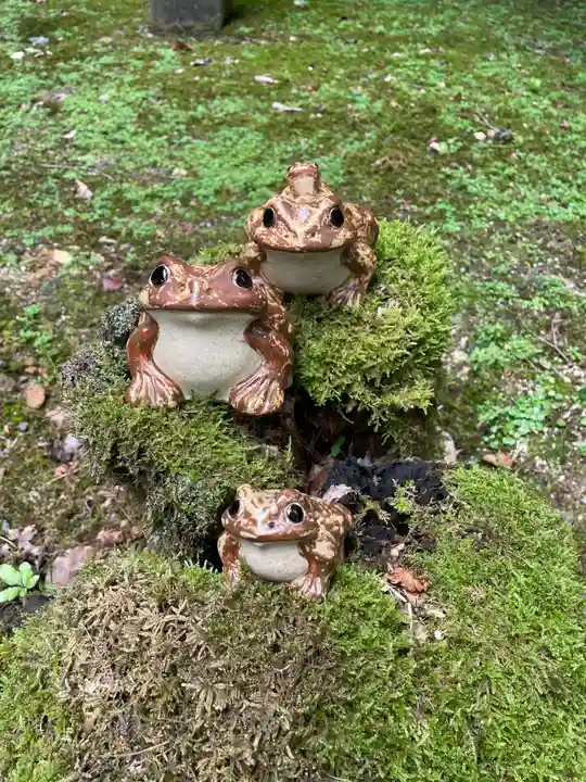 金蔵寺(京都府)