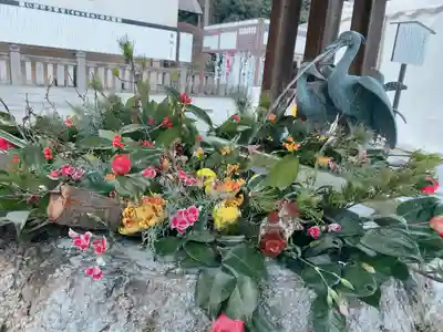 白鷺神社の手水舎