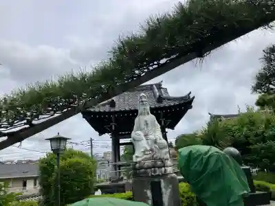 観音寺の{uncategorized: "未分類", other: "その他", undefined: "問題あり", building: "その他建物", grave: "お墓", sacred_gate: "鳥居", guardian: "狛犬", statue: "像", buddha: "仏像", history: "歴史", nature: "自然", garden: "庭園", animal: "動物", pagoda: "塔", temizu: "手水舎", mountain_gate: "山門・神門", sanctuary: "本殿・本堂", subordinate: "末社・摂社", art: "芸術", scenery: "景色", jizo: "地蔵", ema: "絵馬", goshuin: "御朱印", omikuji: "おみくじ", items: "授与品その他", amulet: "お守り", goshuincho: "御朱印帳", eats: "食事", festival: "お祭り", votive_dance: "神楽", shichigosan: "七五三参", wedding: "結婚式", experience: "体験その他", initially: "初詣", around: "周辺", anti_infection: "感染症対策"}