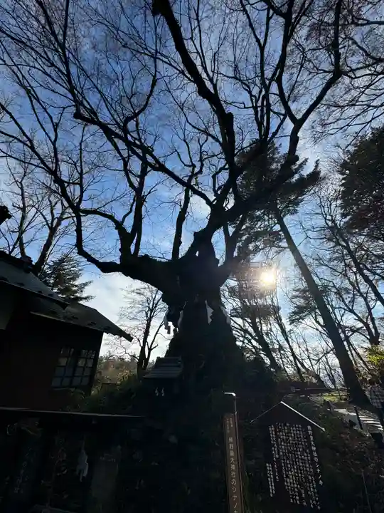 熊野皇大神社(長野県)