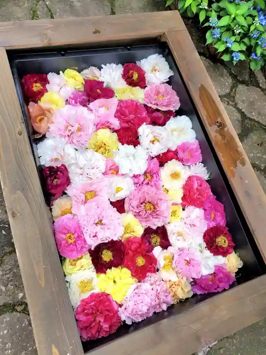 上野東照宮(東京都)