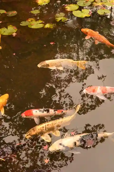 天授庵(京都府)