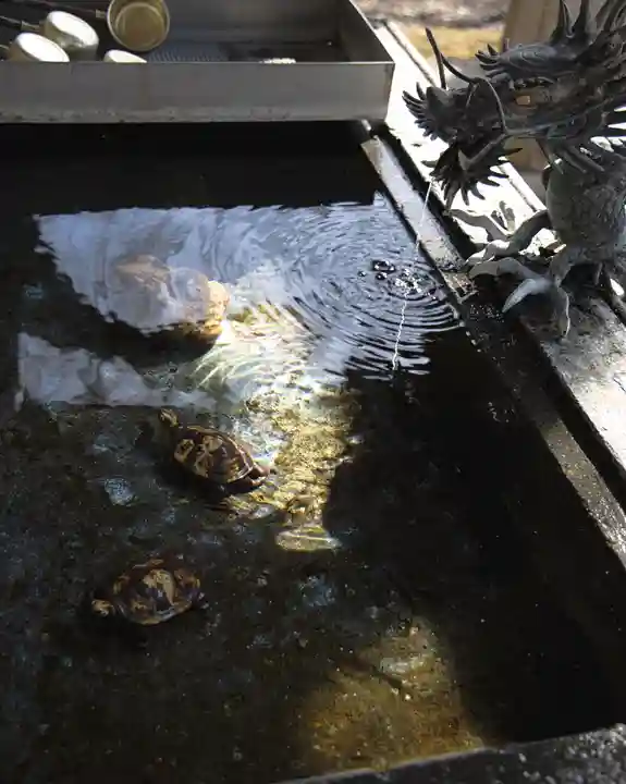 南湖神社(福島県)