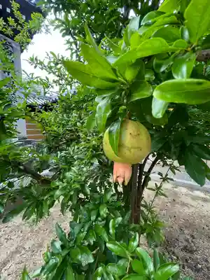 金倉寺(香川県)