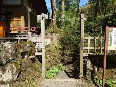 胎内神社(静岡県)