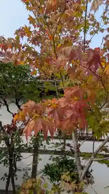 大法院(京都府)