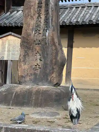東寺（教王護国寺）の動物