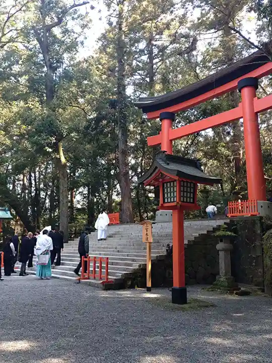 宇佐神宮(大分県)