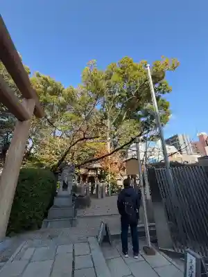 堀越神社(大阪府)