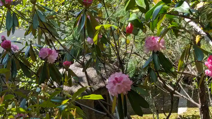仁和寺(京都府)