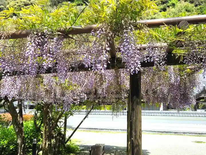 神峯寺(高知県)