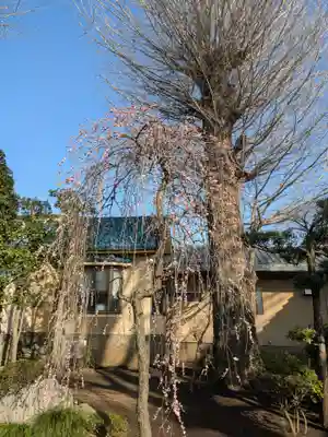 常徳院(東京都)