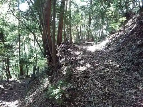 淨福寺の体験その他