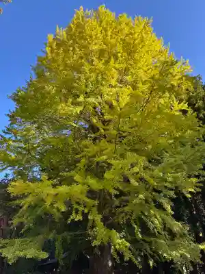 北口本宮冨士浅間神社(山梨県)