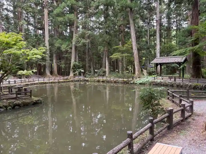 小國神社(静岡県)