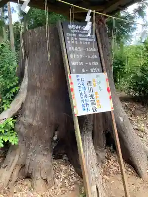 鹿島八幡神社(茨城県)