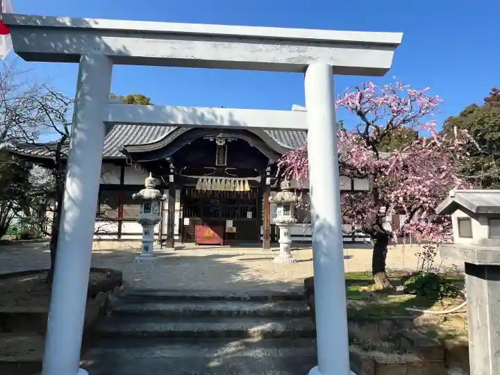 比佐豆知神社の{uncategorized: "未分類", other: "その他", undefined: "問題あり", building: "その他建物", grave: "お墓", sacred_gate: "鳥居", guardian: "狛犬", statue: "像", buddha: "仏像", history: "歴史", nature: "自然", garden: "庭園", animal: "動物", pagoda: "塔", temizu: "手水舎", mountain_gate: "山門・神門", sanctuary: "本殿・本堂", subordinate: "末社・摂社", art: "芸術", scenery: "景色", jizo: "地蔵", ema: "絵馬", goshuin: "御朱印", omikuji: "おみくじ", items: "授与品その他", amulet: "お守り", goshuincho: "御朱印帳", eats: "食事", festival: "お祭り", votive_dance: "神楽", shichigosan: "七五三参", wedding: "結婚式", experience: "体験その他", initially: "初詣", around: "周辺", anti_infection: "感染症対策"}