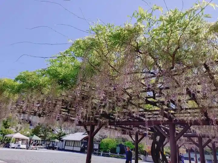 西新井大師総持寺(東京都)