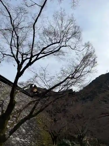 清水寺(京都府)