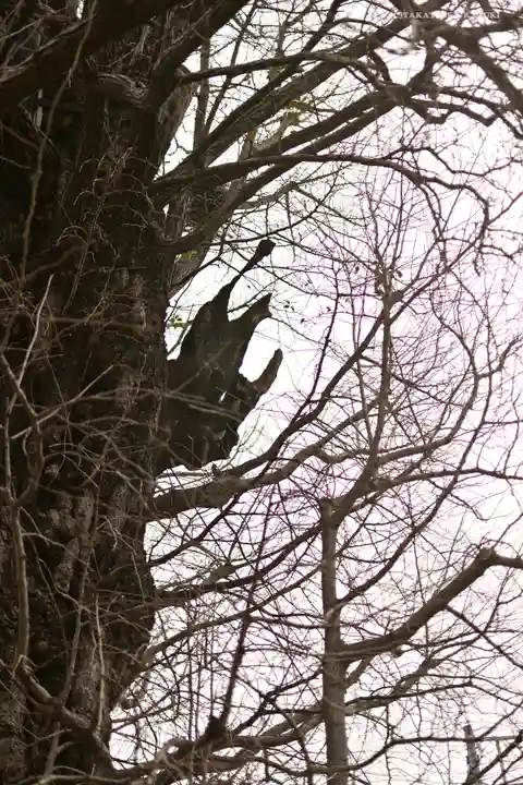飛木稲荷神社(東京都)