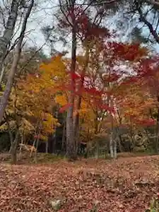 日枝神社(岐阜県)(2024年11月29日(金) 10時18分34秒投稿)