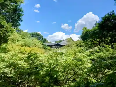 東福禅寺(東福寺)(京都府)