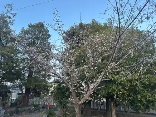 加毛神社(岐阜県)