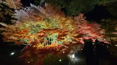 宝厳院(京都府)