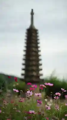 般若寺 ❁﻿コスモス寺❁(奈良県)