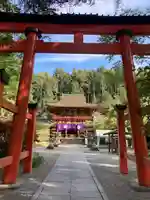 丹生都比売神社の鳥居