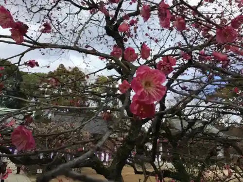 北野天満宮(京都府)